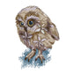 14ct Stamped Cross Stitch Owl (15*20cm)
