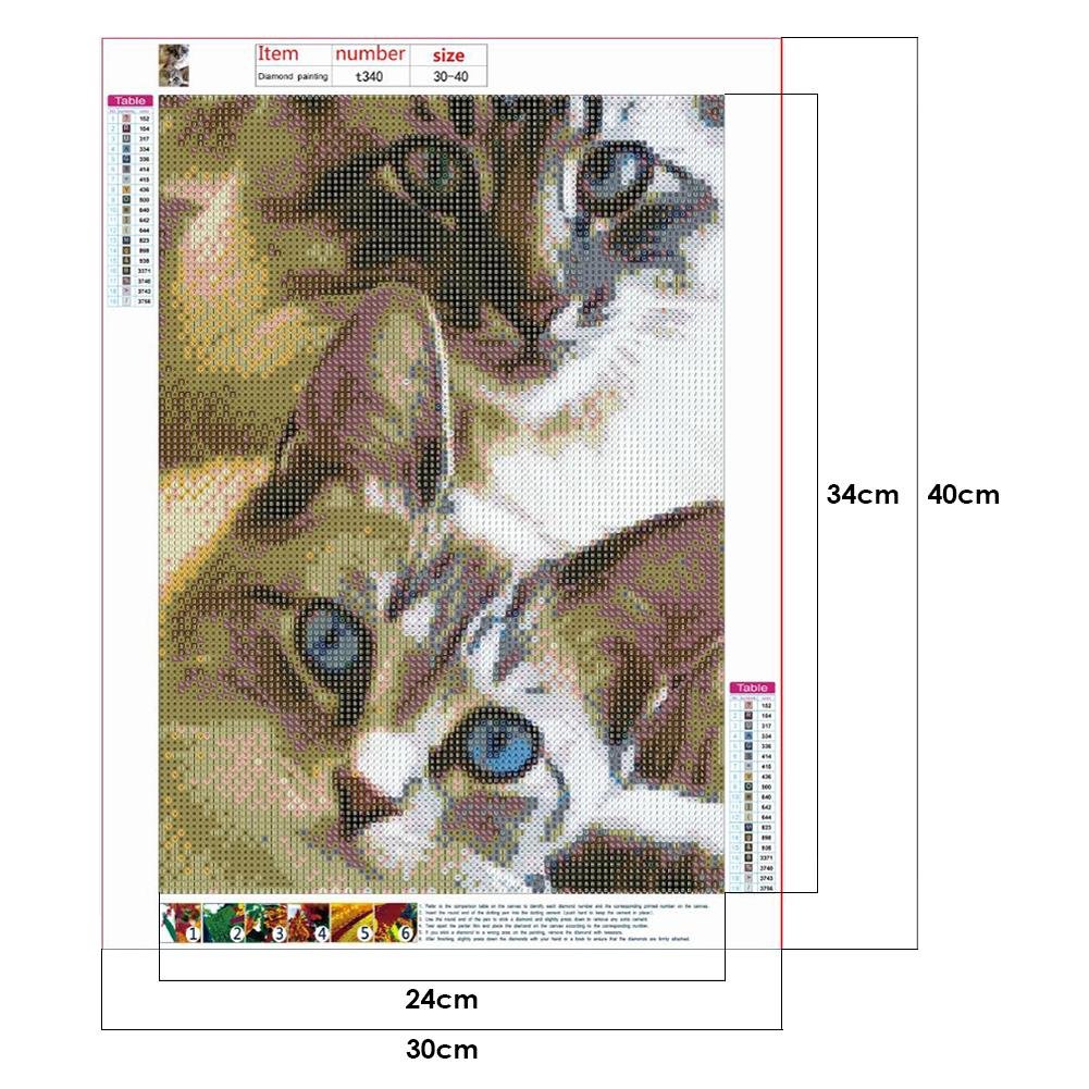 5D DIY Diamond Painting Kit - Full Round - Two Cats