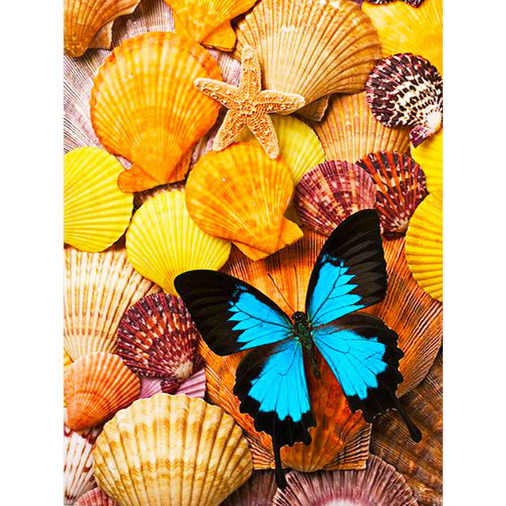 butterfly on shells diamond painting
