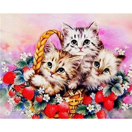 Painting By Numbers Kit DIY Strawberry Cats Oil Art Picture Craft Home Wall Decor