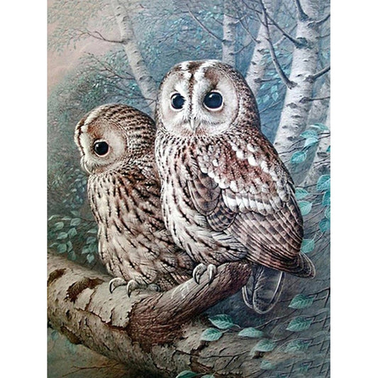 White Owl Diamond Painting Kit with Free Shipping – 5D Diamond