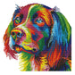 14ct Stamped Cross Stitch Rainbow Dog(34*34cm)