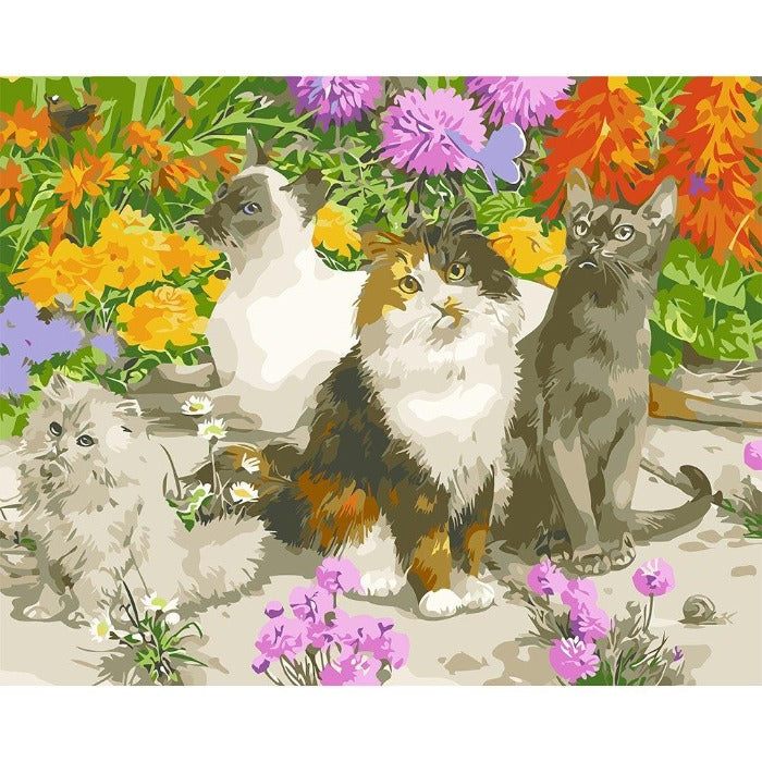 Paint by Number Kits for Adults Oil Painting Four Cats (40*50cm)