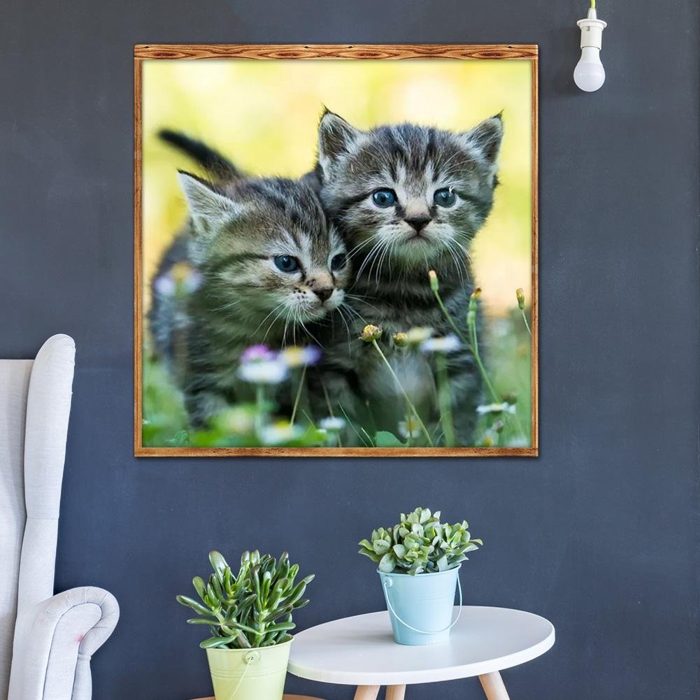 Kit de pintura de diamantes 5D DIY - Ronda completa - Lindos gatos / gatitos