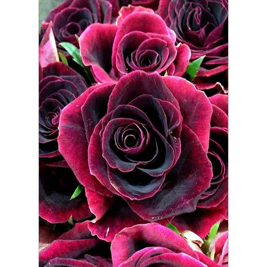 11ct Stamped Cross Stitch Rose (46*36cm)