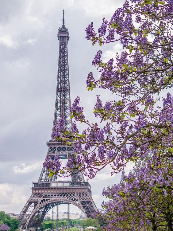 Eiffel Tower and purple flowers Diamond Painting Art