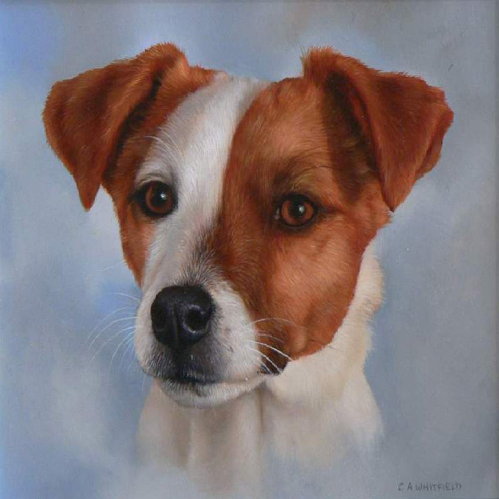 Diamond Paintings Art - Dog & Puppy