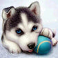 Diamond Painting Dog With Its Ball