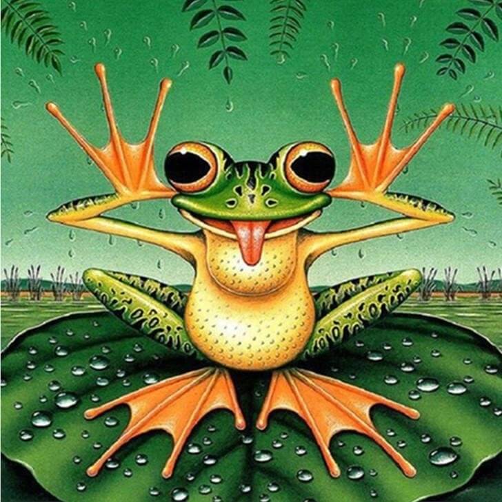 funny frog diamond painting kit