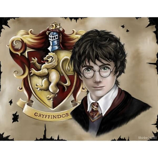 Diamond Painting Harry Potter terminé 🦉😍 